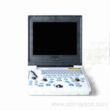 Laptop ultrasound for lion cat pregnancy